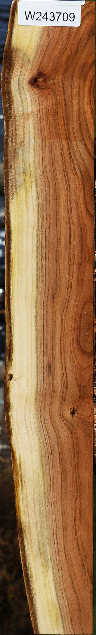 243709_1_eabdda53-17c2-4581-b680-a0fbd286bdb3 Pistachio Live Edge Lumber - Image 1