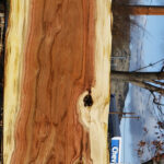 Extra Fancy Rustic Pistachio Live Edge Lumber