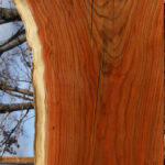 Figured Grafted Pistachio Live Edge Lumber