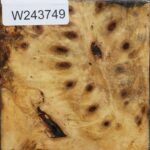 Buckeye Burl Bowl Blank