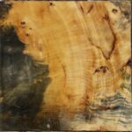 Buckeye Burl Bowl Blank