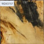 Buckeye Burl Bowl Blank