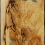 Buckeye Burl Turning Blank