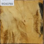 Buckeye Burl Bowl Blank