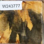 Buckeye Burl Bowl Blank