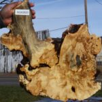 Buckeye Burl Live Edge Lumber