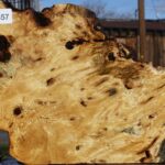 Buckeye Burl Live Edge Slice