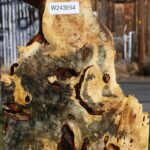 Buckeye Burl Live Edge Lumber