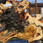 Buckeye Burl Cookie