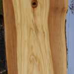 Figured Italian Olive Live Edge Lumber
