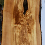 Figured Italian Olive Live Edge Lumber
