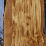 Extra Fancy Italian Olive Live Edge Lumber