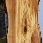 Figured Italian Olive Live Edge Lumber