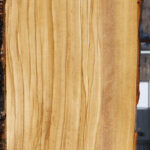 Figured Italian Olive Live Edge Lumber