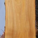 Italian Olive Live Edge Lumber