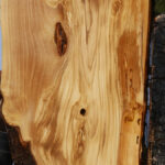 Figured Italian Olive Live Edge Lumber