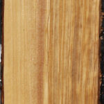 Figured Italian Olive Live Edge Lumber