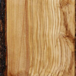 Extra Fancy Italian Olive Live Edge Lumber