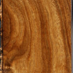 Figured Bolivian Ebony Lumber