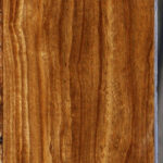 Bolivian Ebony Lumber