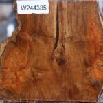 Teak Burl Live Edge Turning Blank