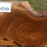 Figured Teak Live Edge Turning Blank