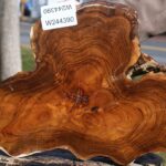 Teak Live Edge Turning Blank