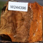 Teak Burl Live Edge Bowl Blank
