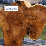 Teak Burl Live Edge Turning Blank