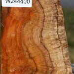 Teak Burl Live Edge Turning Blank