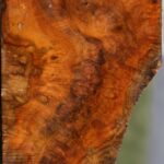 Teak Burl Live Edge Turning Blank
