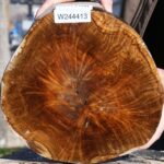 Teak Burl Live Edge Bowl Blank