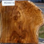 Teak Burl Live Edge Bowl Blank