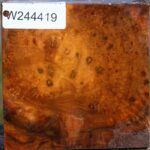 Teak Burl Bowl Blank