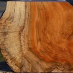 Teak Burl Live Edge Bowl Blank