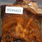 Extra Fancy Teak Live Edge Bowl Blank