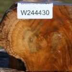 Teak Burl Live Edge Bowl Blank