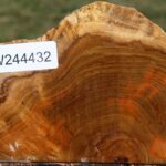 Teak Live Edge Turning Blank