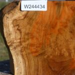 Extra Fancy Teak Live Edge Bowl Blank