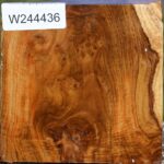 Teak Burl Bowl Blank