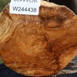 Teak Burl Cap