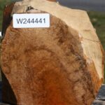 Teak Burl Live Edge Bowl Blank