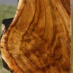 Extra Fancy Teak Live Edge Turning Blank