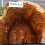 Teak Burl Live Edge Turning Blank