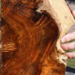 Extra Fancy Teak Live Edge Turning Blank