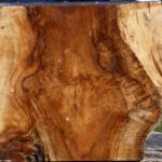 Extra Fancy Teak Live Edge Bowl Blank