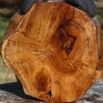 Extra Fancy Teak Live Edge Bowl Blank