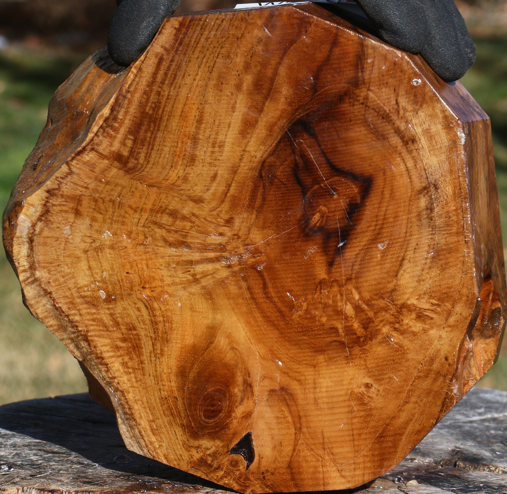 244455_1_b1b3130f-ec23-497a-b974-c13794e5077a Extra Fancy Teak Live Edge Bowl Blank - Image 1