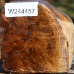 Extra Fancy Teak Live Edge Bowl Blank