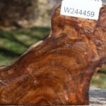 Figured Teak Live Edge Turning Blank